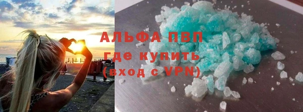 ПСИЛОЦИБИНОВЫЕ ГРИБЫ Богданович