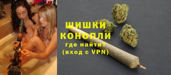 гидра Белокуриха