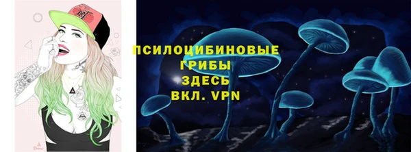 гидра Белокуриха