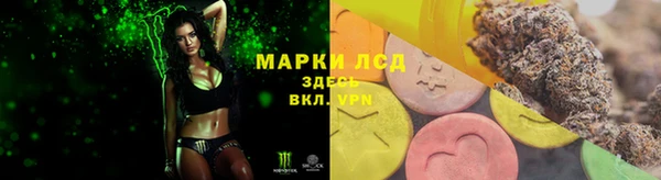 ПСИЛОЦИБИНОВЫЕ ГРИБЫ Богданович