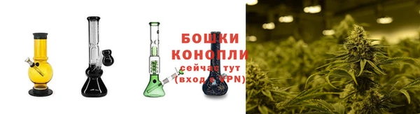 ПСИЛОЦИБИНОВЫЕ ГРИБЫ Богданович