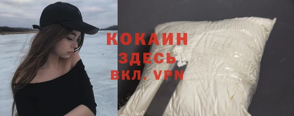 гидра Белокуриха