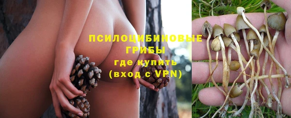 прущая мука Беломорск