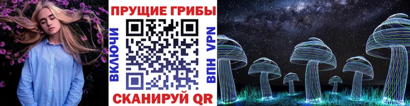Галлюциногенные грибы GOLDEN TEACHER наркошоп Мезень